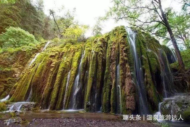 专注问答,解决困惑——蜂群联盟app官网有问必答平台